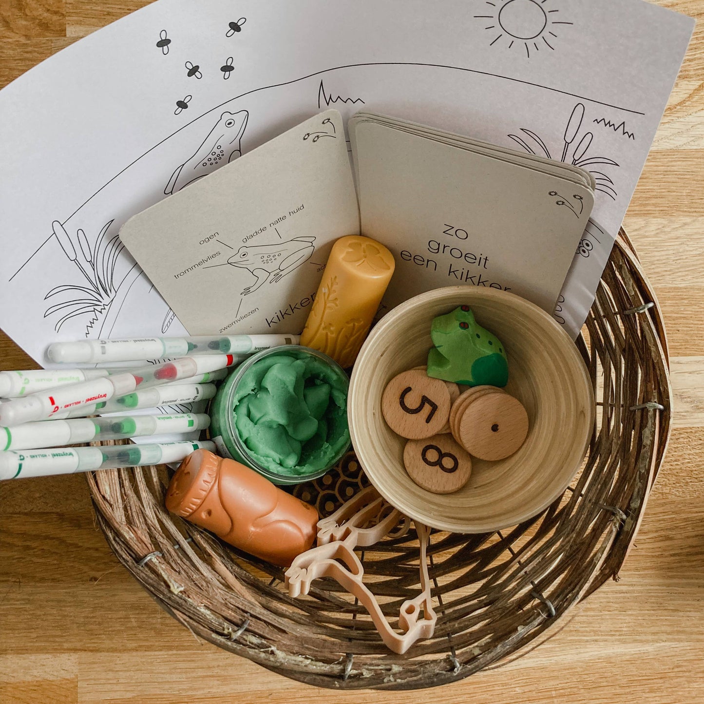 Lifecycle flashcards kikker - Educatief speelgoed