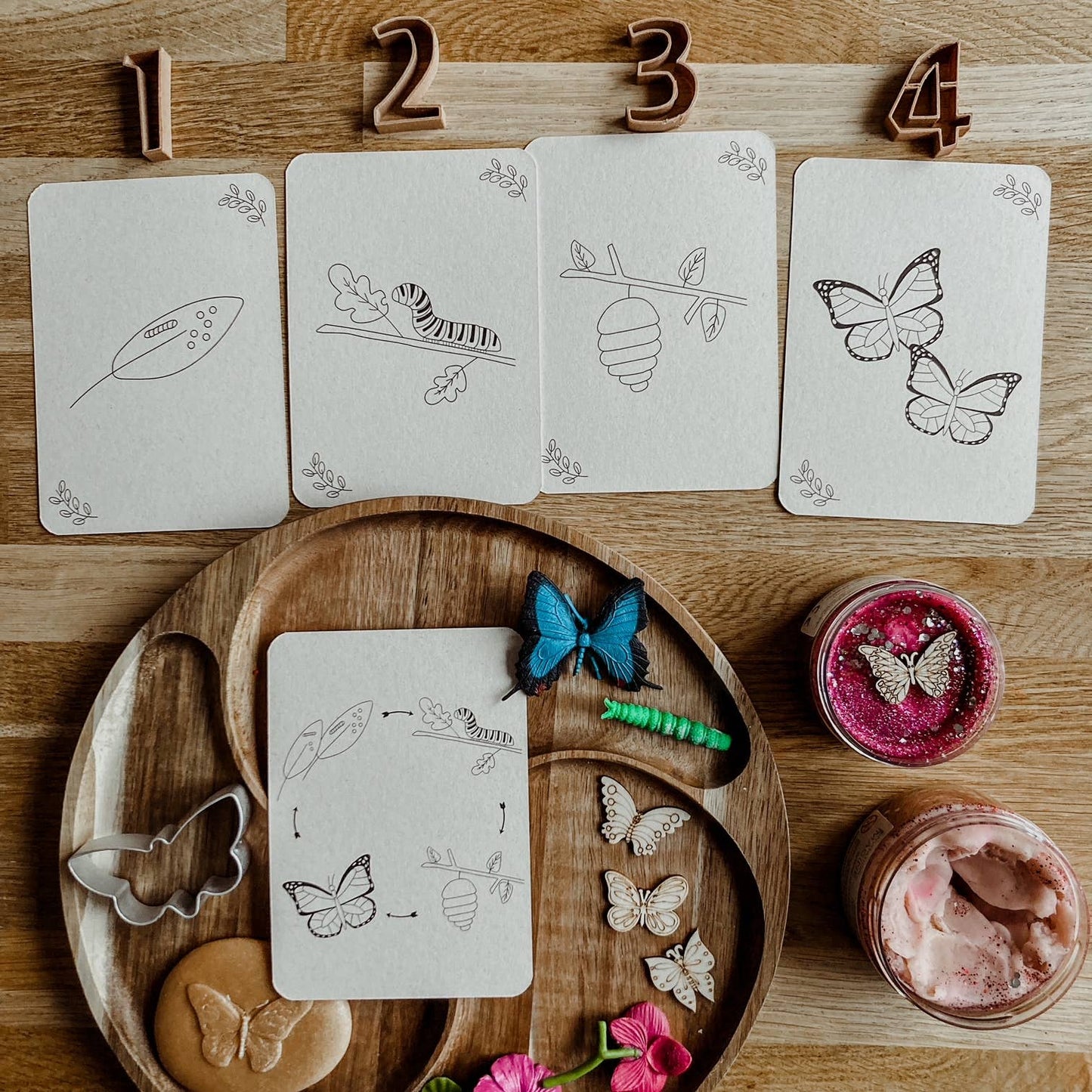 Lifecycle flashcards vlinder - Educatief speelgoed