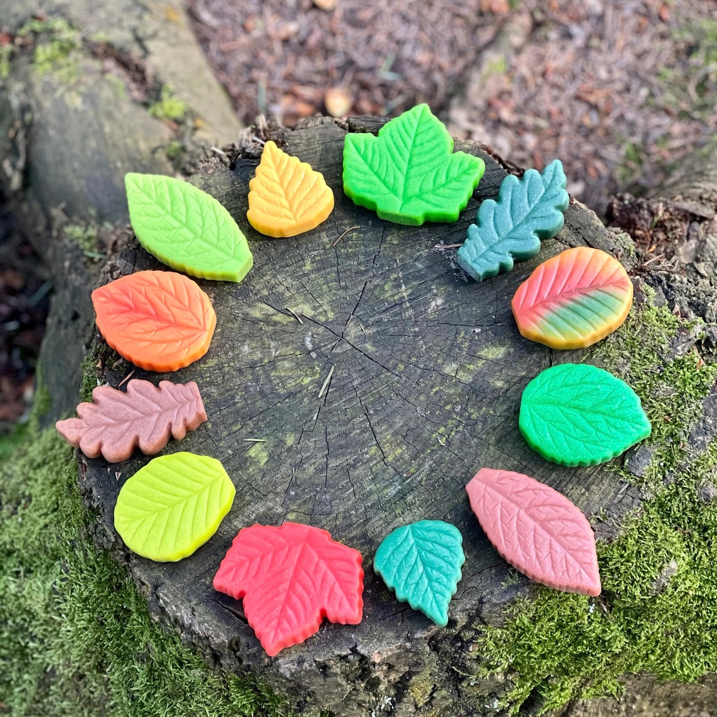 Sensorische Speelstenen | Herfstblaadjes