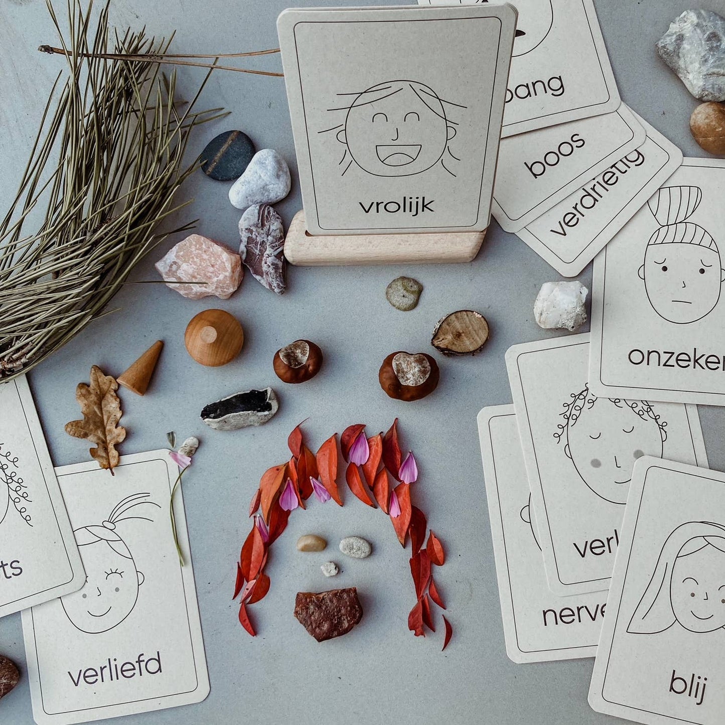 Emotie flashcards - Montessori speelgoed