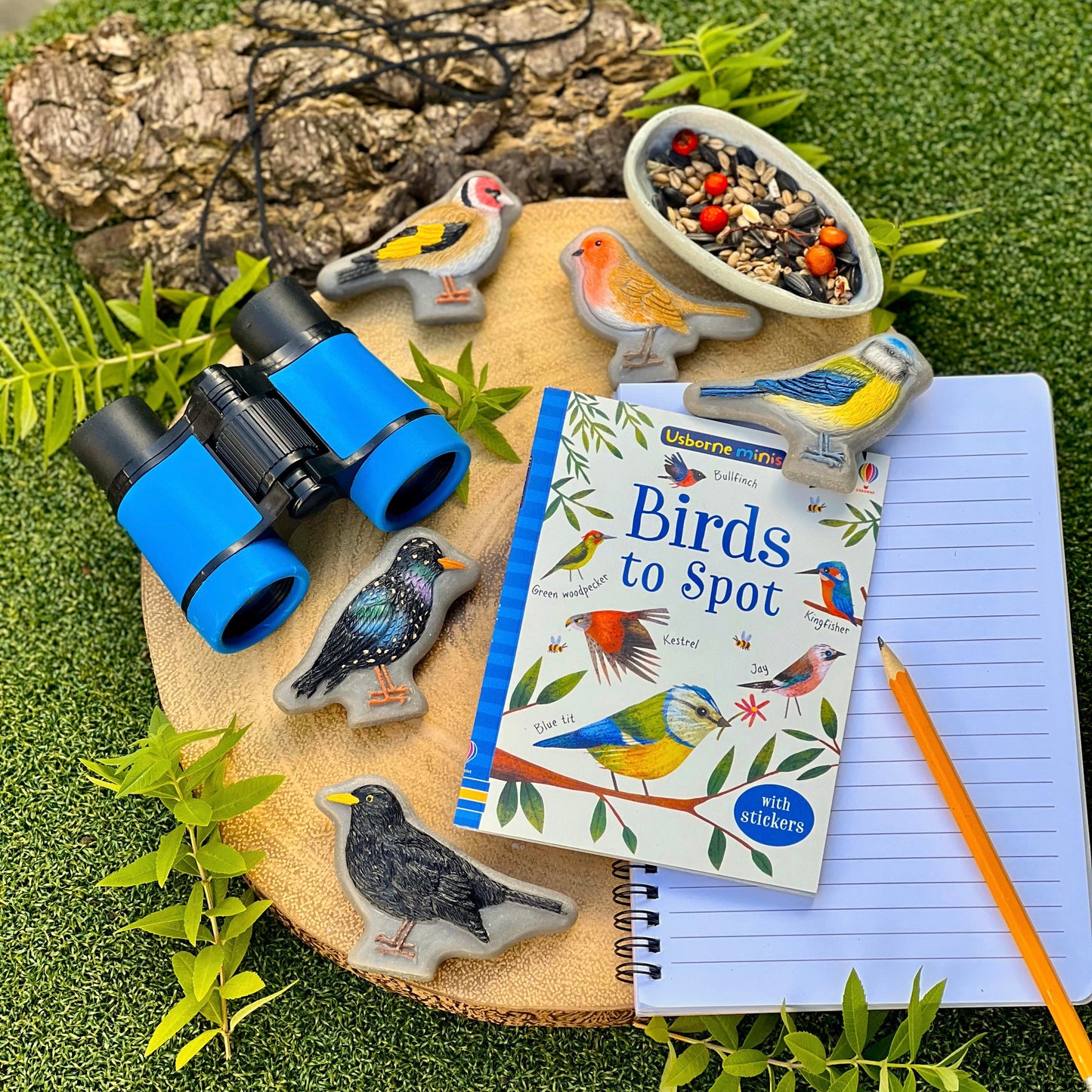 Sensory Play Stones | Birds