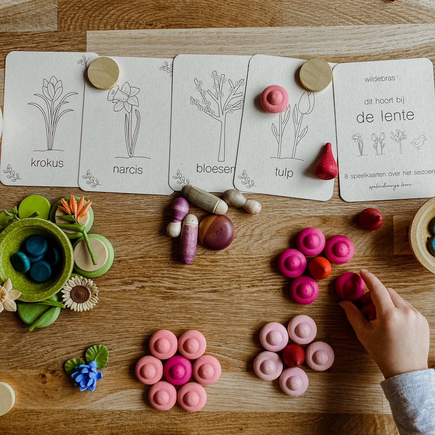 Lente flashcards - Educatief speelgoed - seizoenstafel