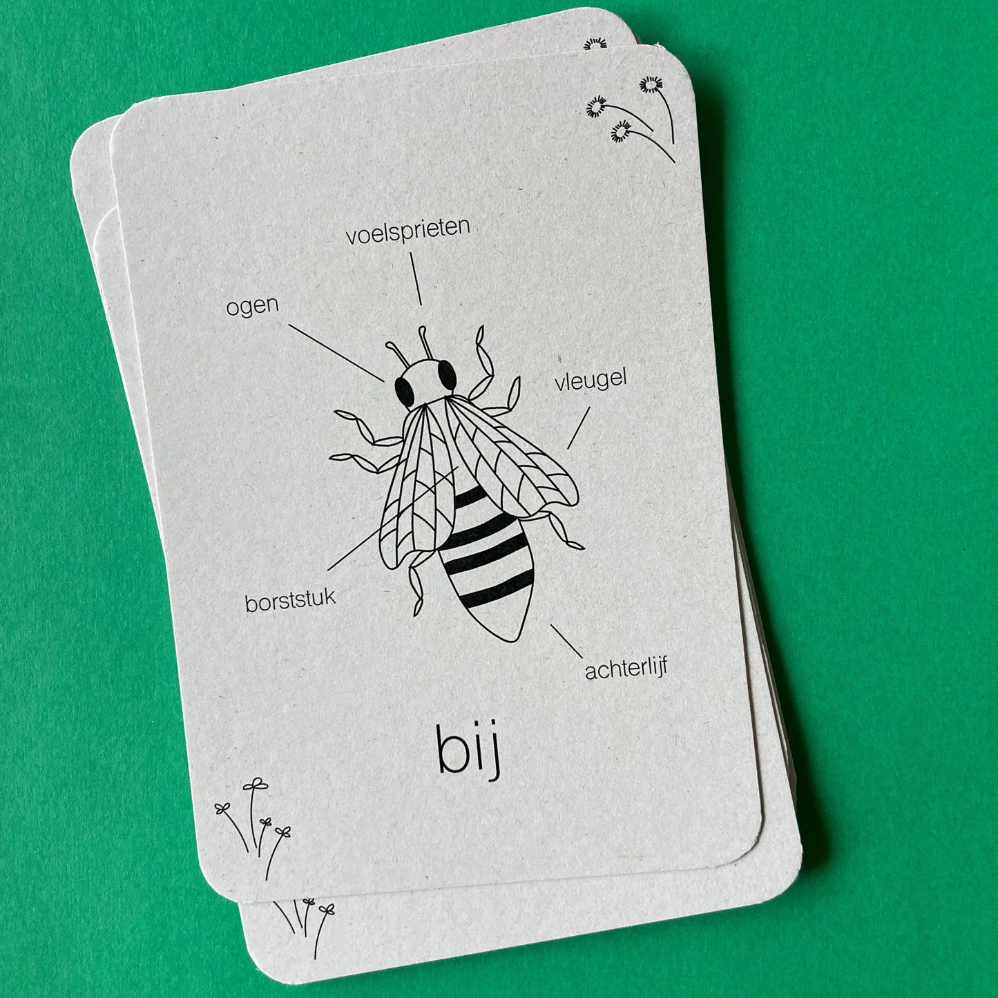 Lifecycle flashcards bij - Educatief speelgoed -levenscyclus