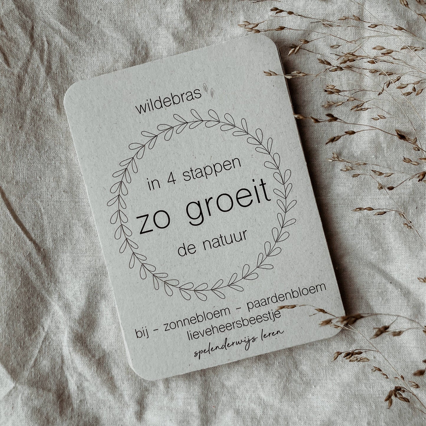Lifecycle flashcards (bij, lieveheersbeestje, bloemen)-Educatie