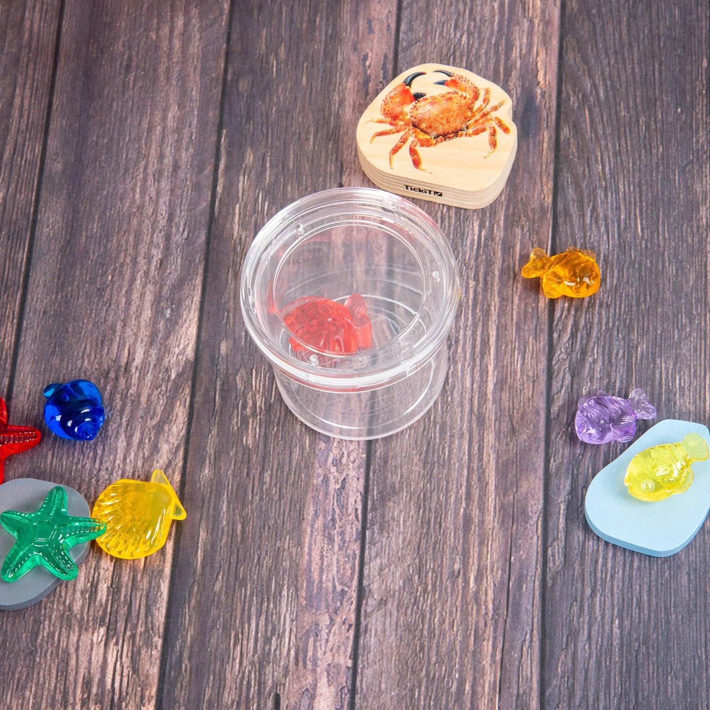 Doorzichtige insecten potje