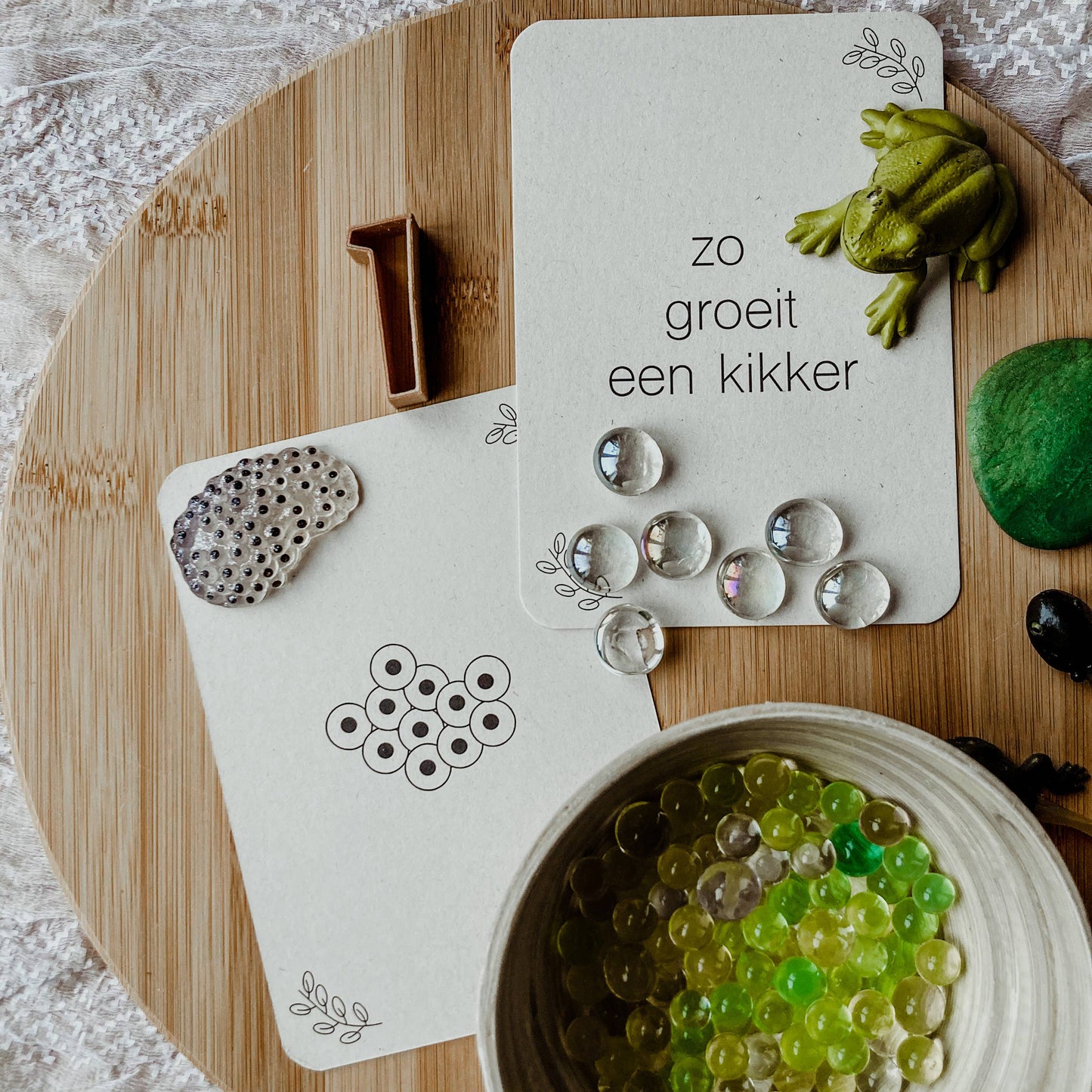 Lifecycle flashcards kikker - Educatief speelgoed