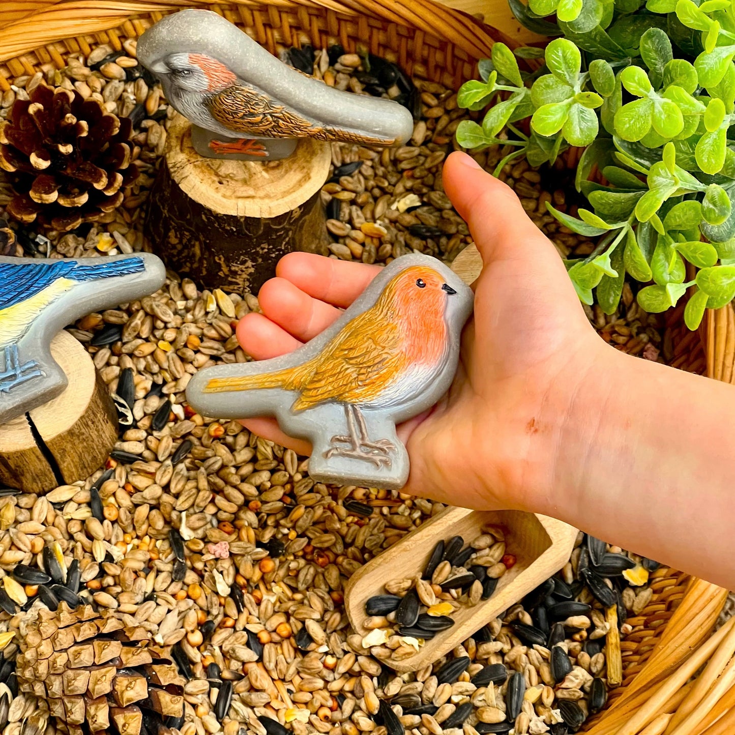 Sensory Play Stones | Birds