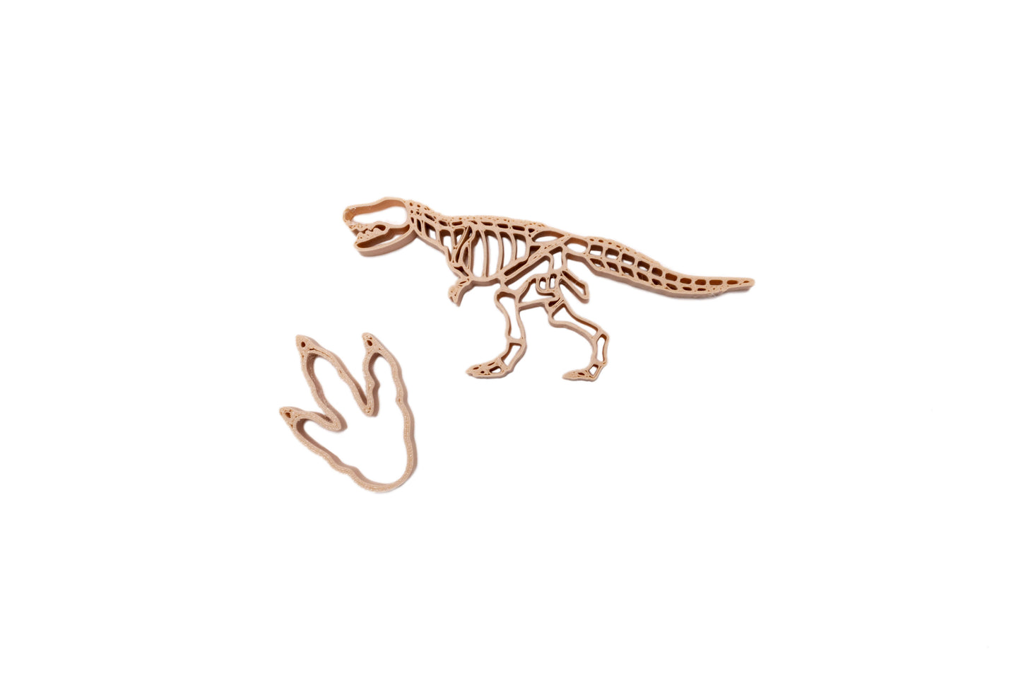 Grennn - uitstekers dino en poot
