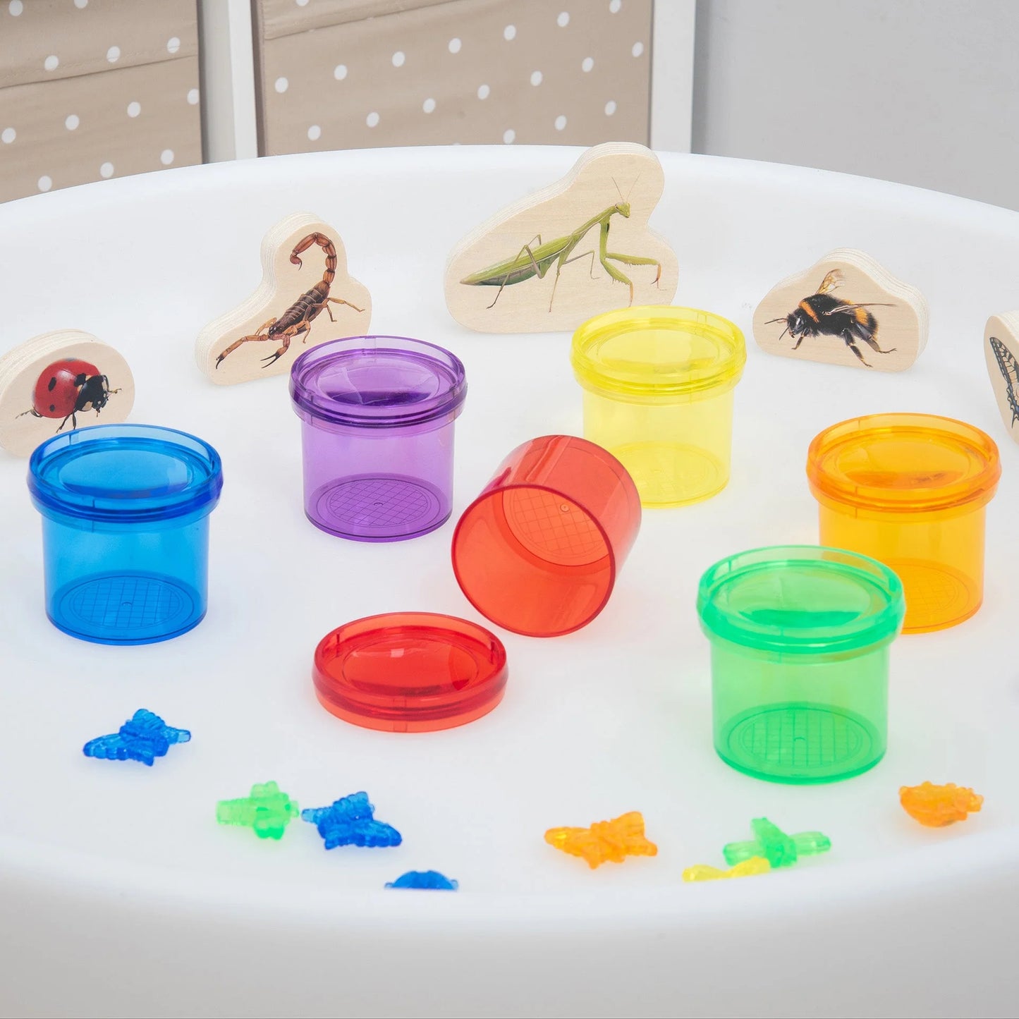 Kleuren insecten potjes - 6 stuks