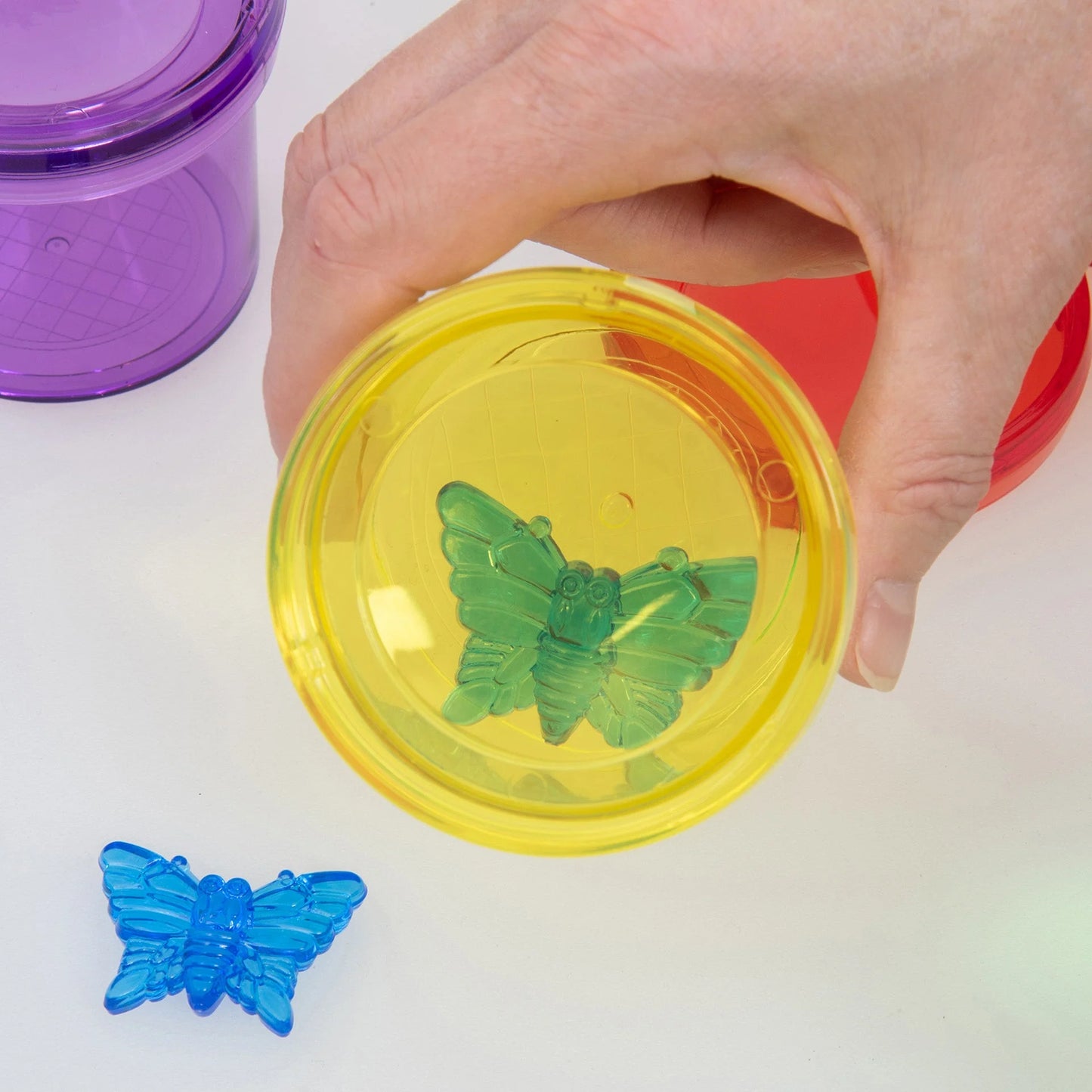 Kleuren insecten potjes - 6 stuks