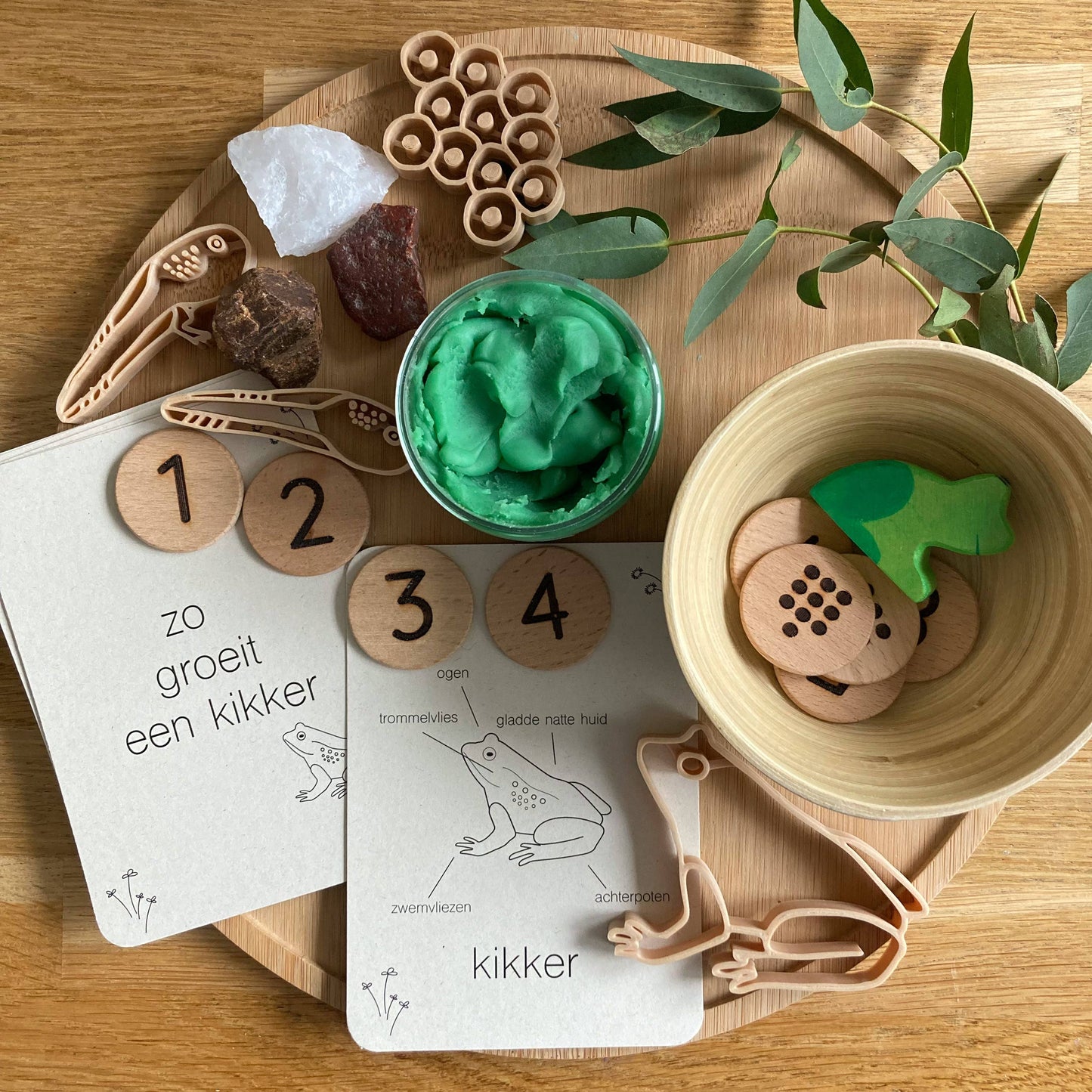 Lifecycle flashcards kikker - Educatief speelgoed