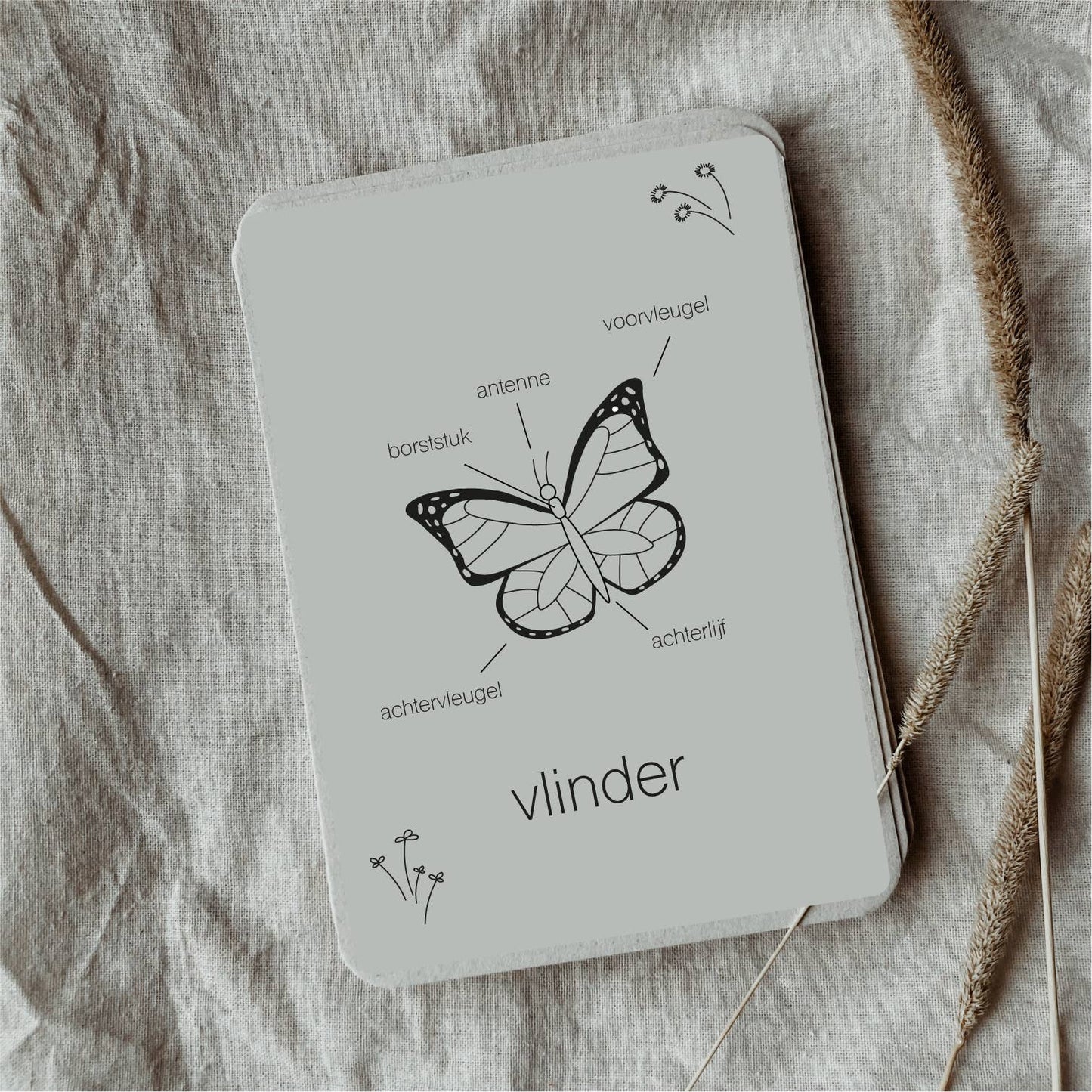 Lifecycle flashcards vlinder - Educatief speelgoed