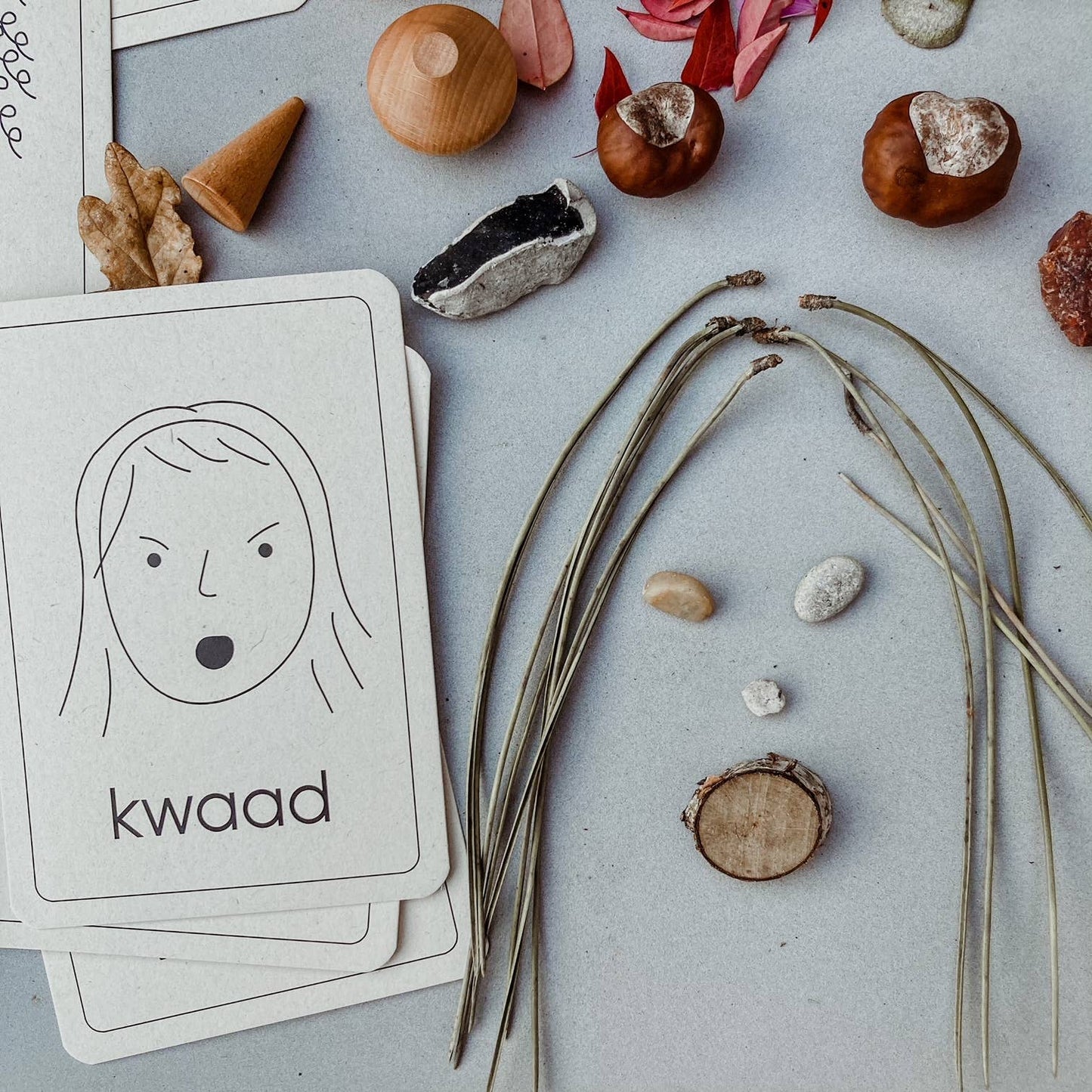 Emotie flashcards - Montessori speelgoed