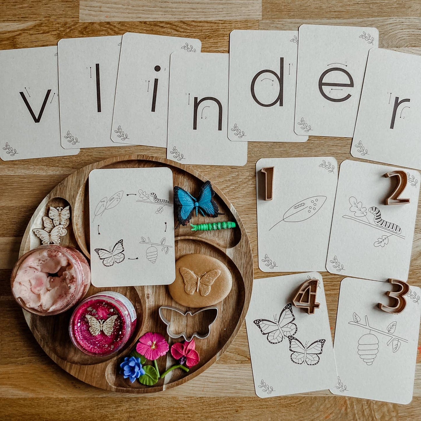 Lifecycle flashcards vlinder - Educatief speelgoed