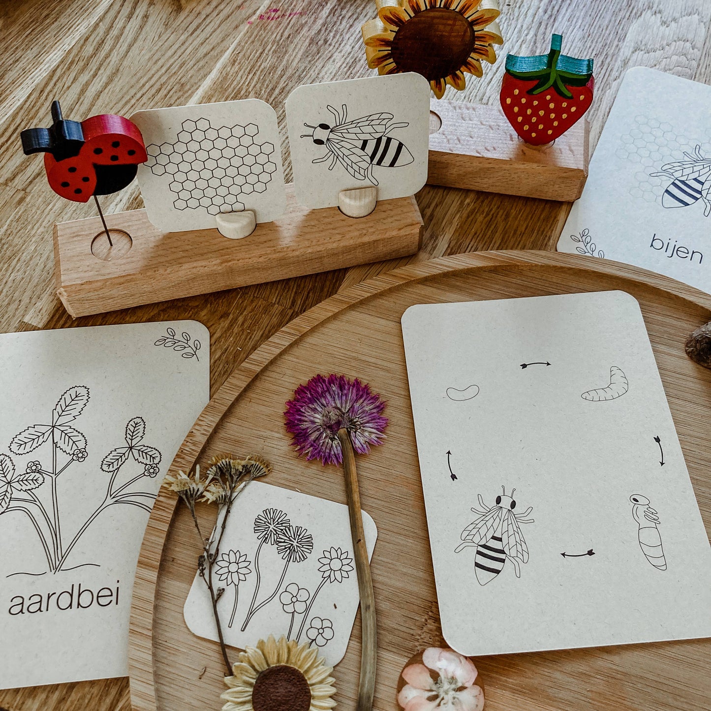 Zomer flashcards - Educatief speelgoed - Montessori