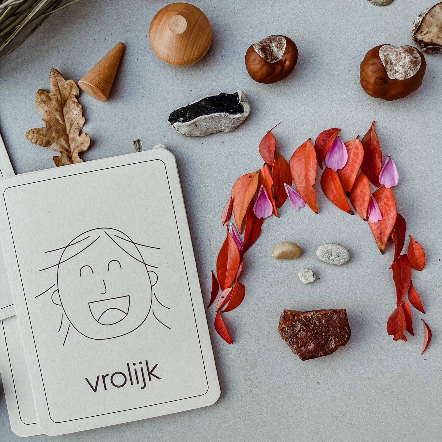 Emotie flashcards - Montessori speelgoed