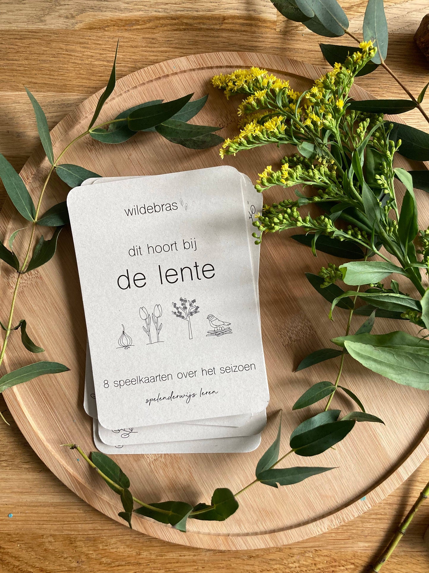 Lente flashcards - Educatief speelgoed - seizoenstafel