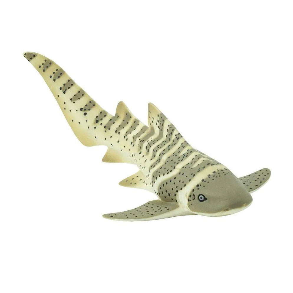 Zebra haai - SafariLtd