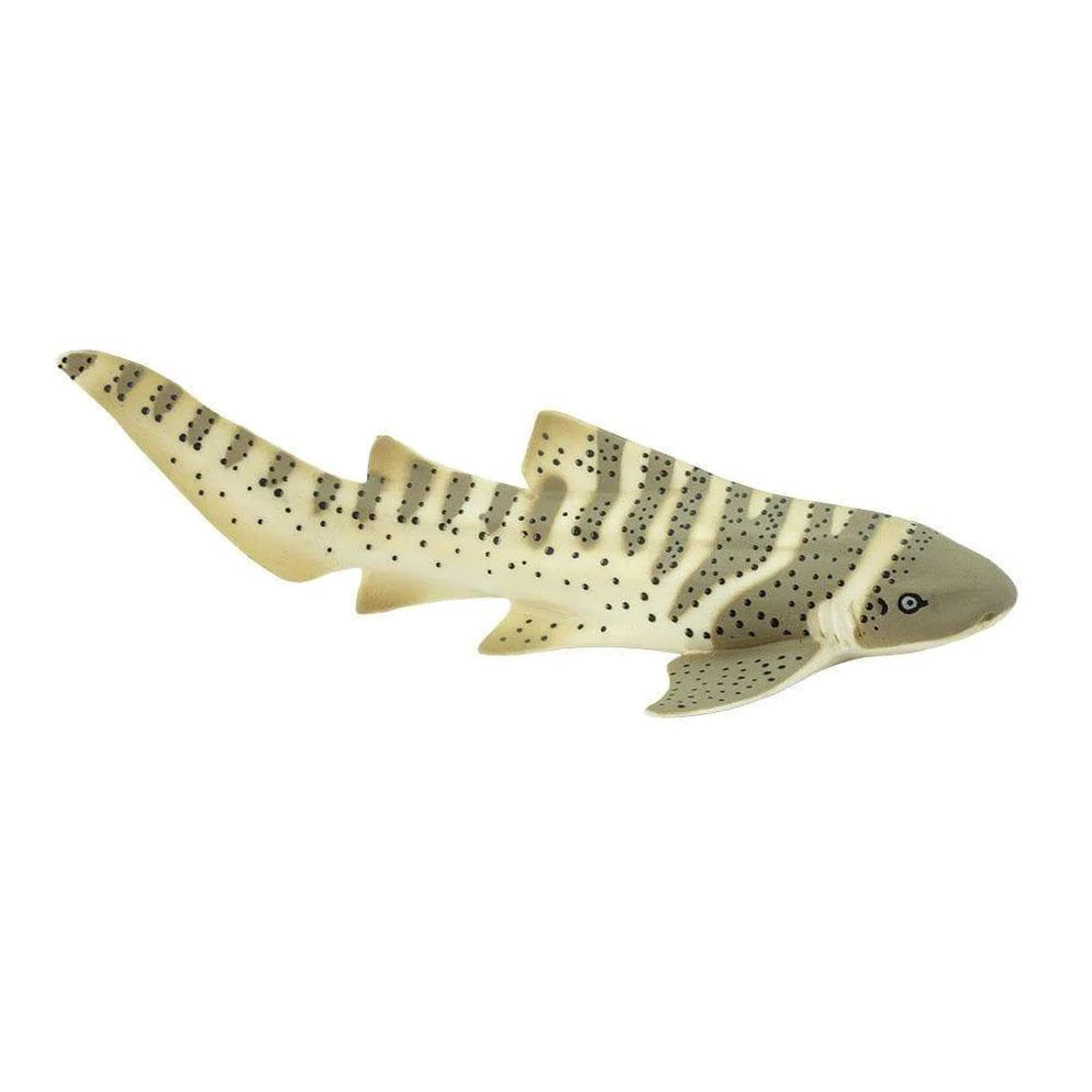 Zebra haai - SafariLtd