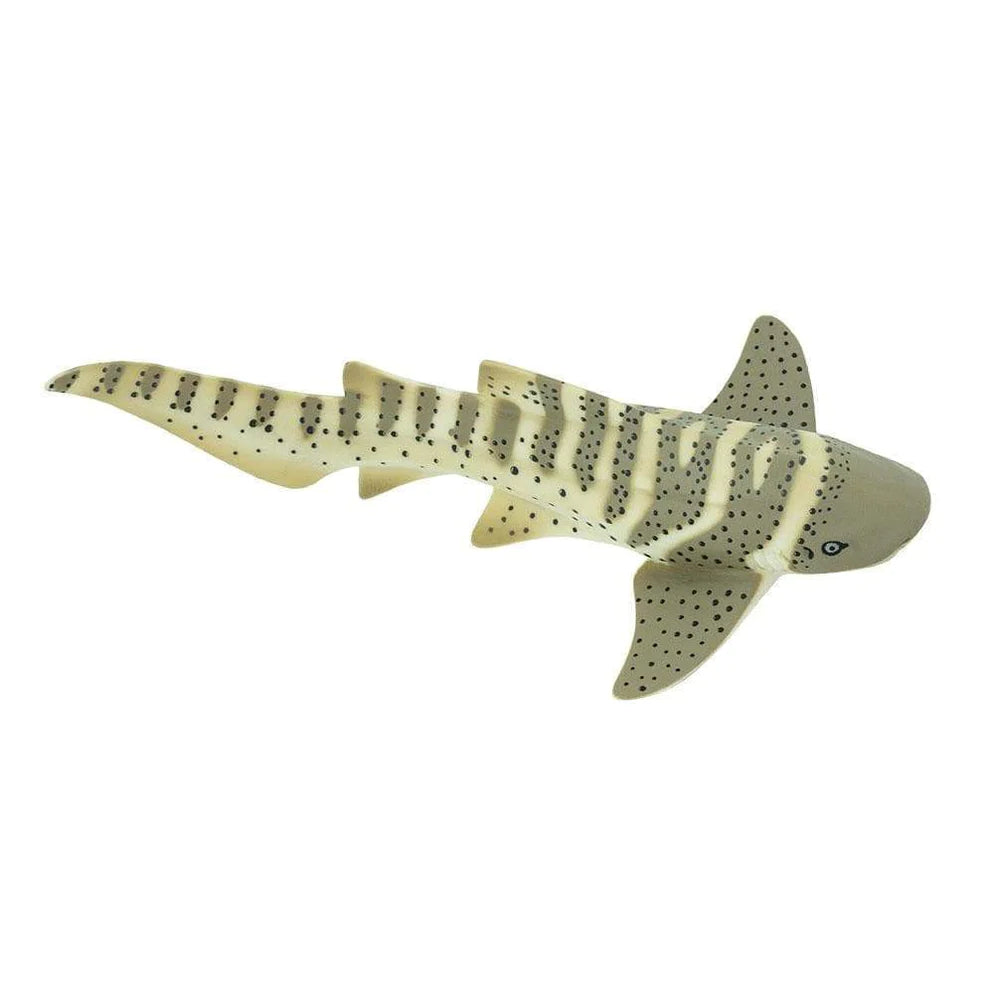 Zebra haai - SafariLtd