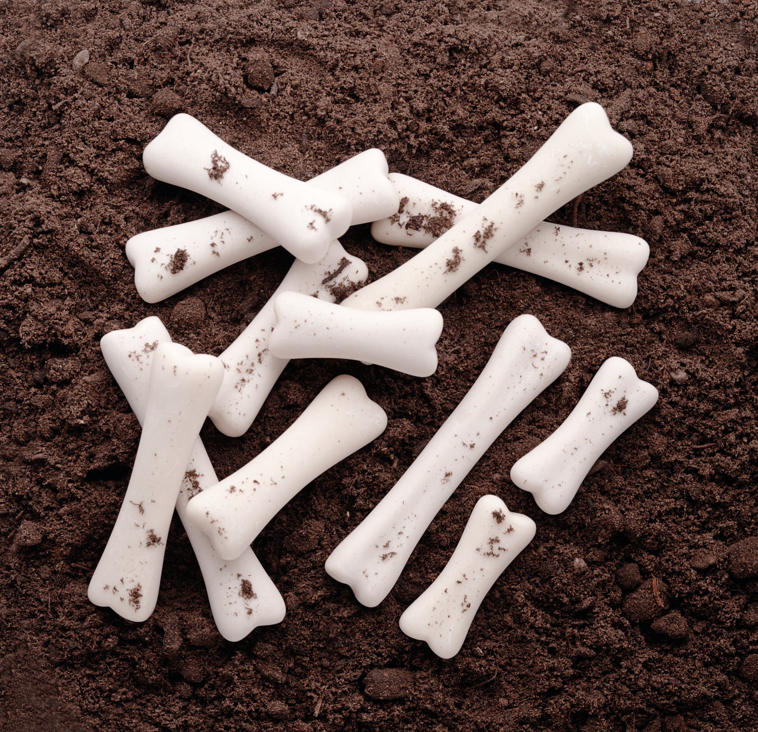 Yellow Door - Dino botten set - 12 stuks