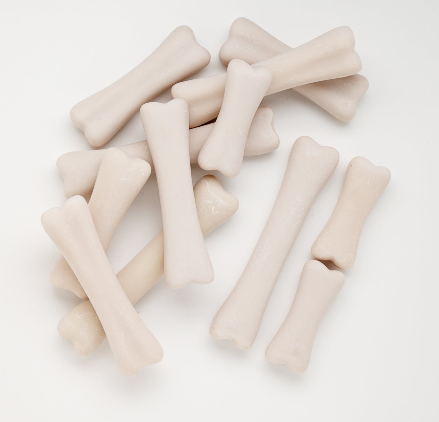 Yellow Door - Dino botten set - 12 stuks