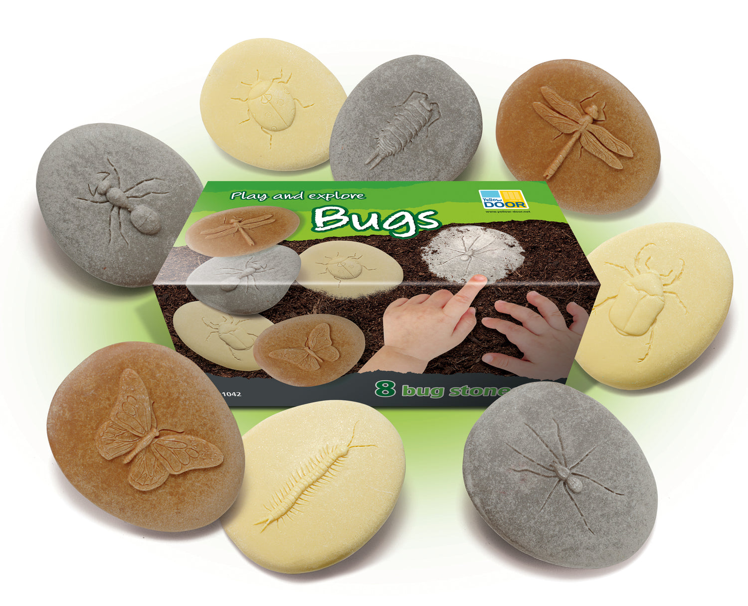 Let's Investigate | Bugs