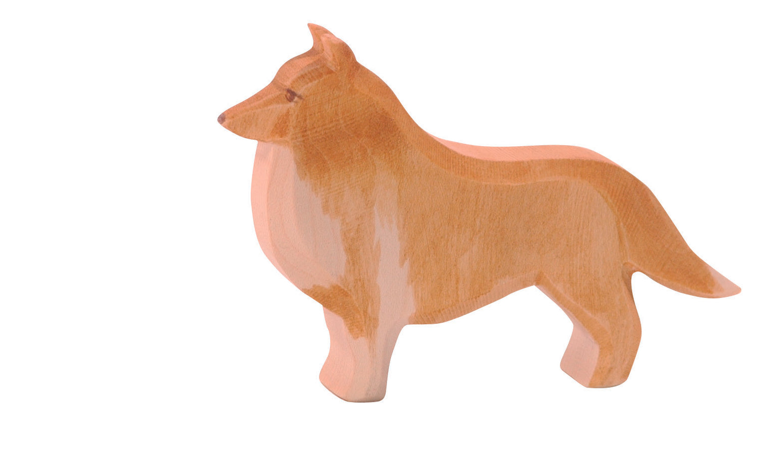 Ostheimer – Collie 10516