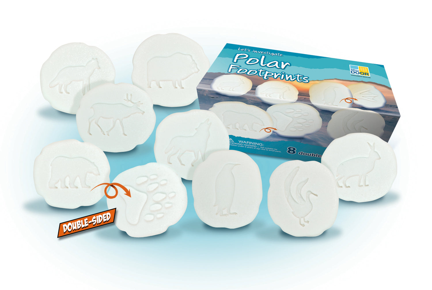 Let’s Investigate – Polar