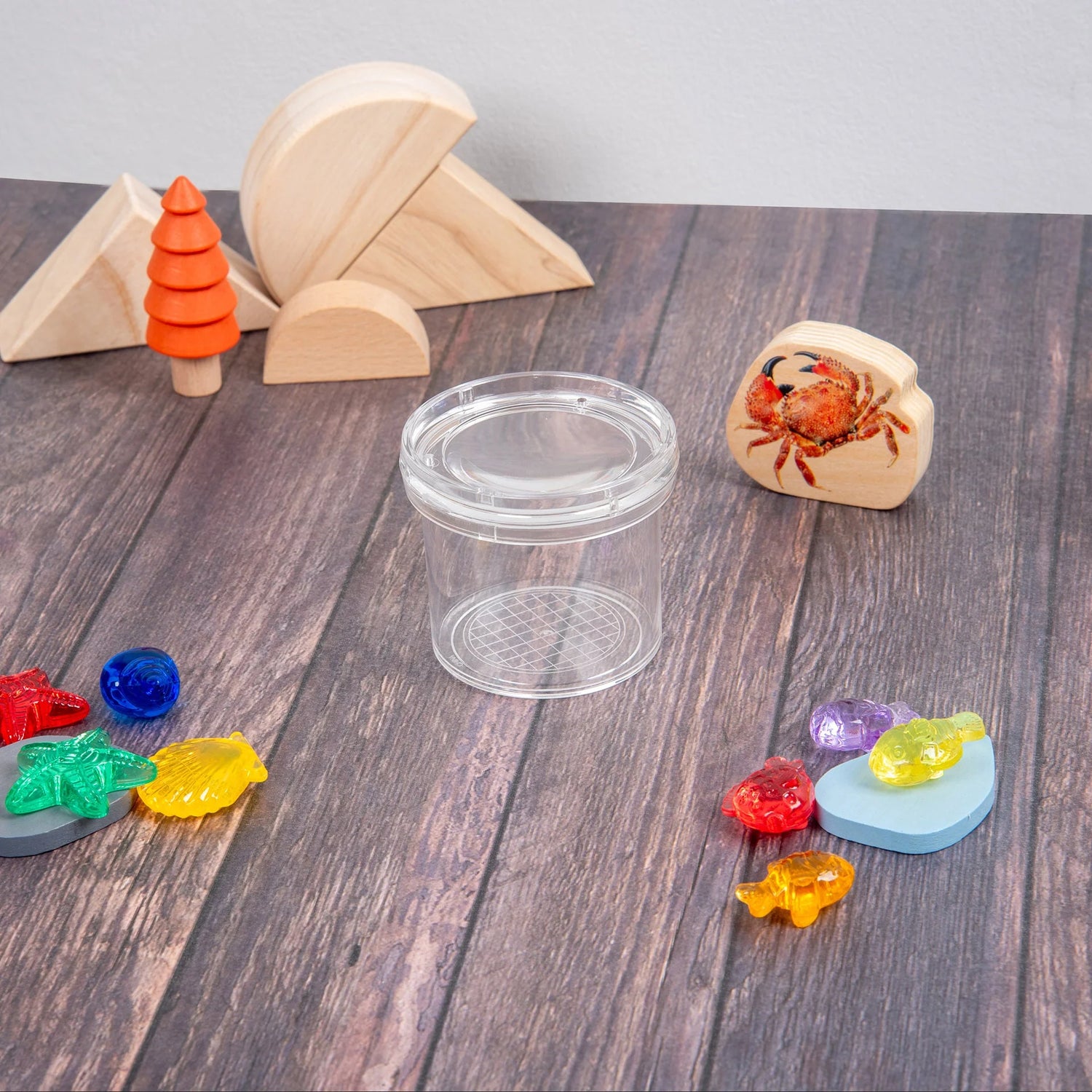 Doorzichtige insecten potje