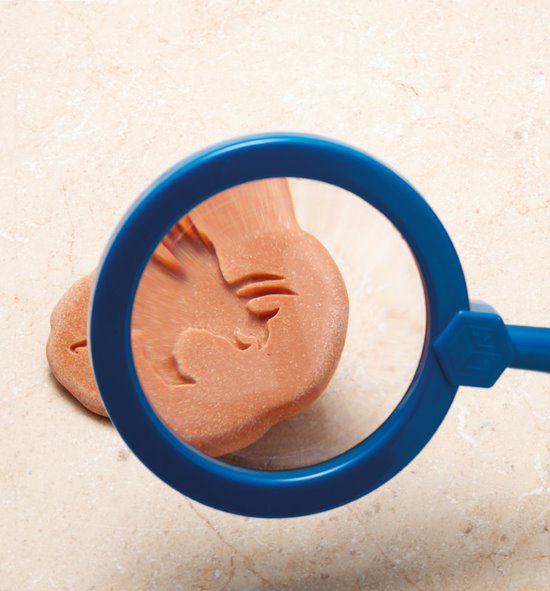 Let’s Investigate – Dinosaur Footprints