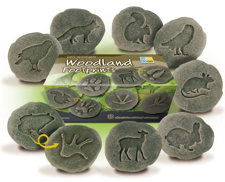 Let’s Investigate – Woodland