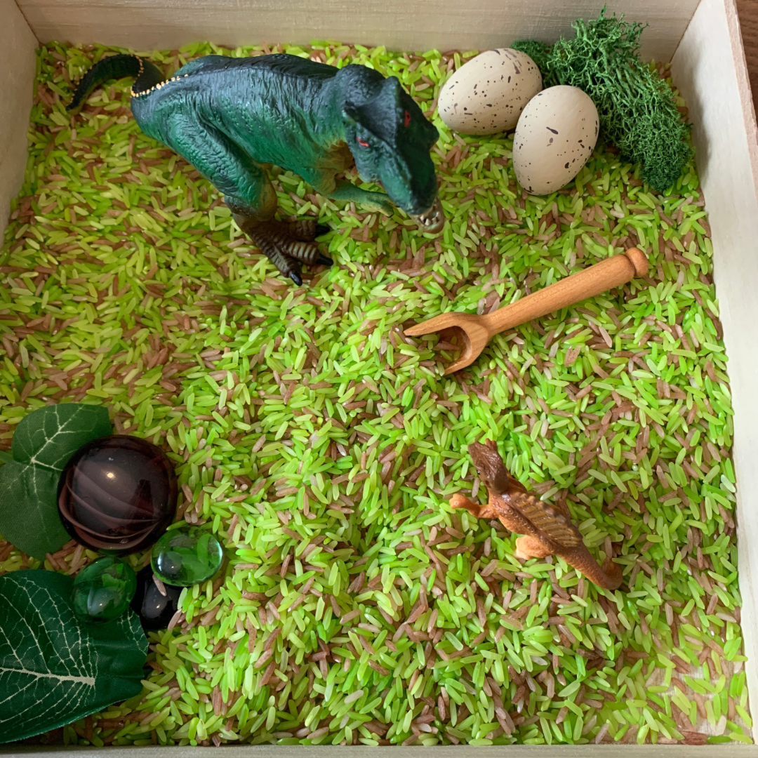 Sensorische mini Dinosaurus speelbox + Bak en deksel