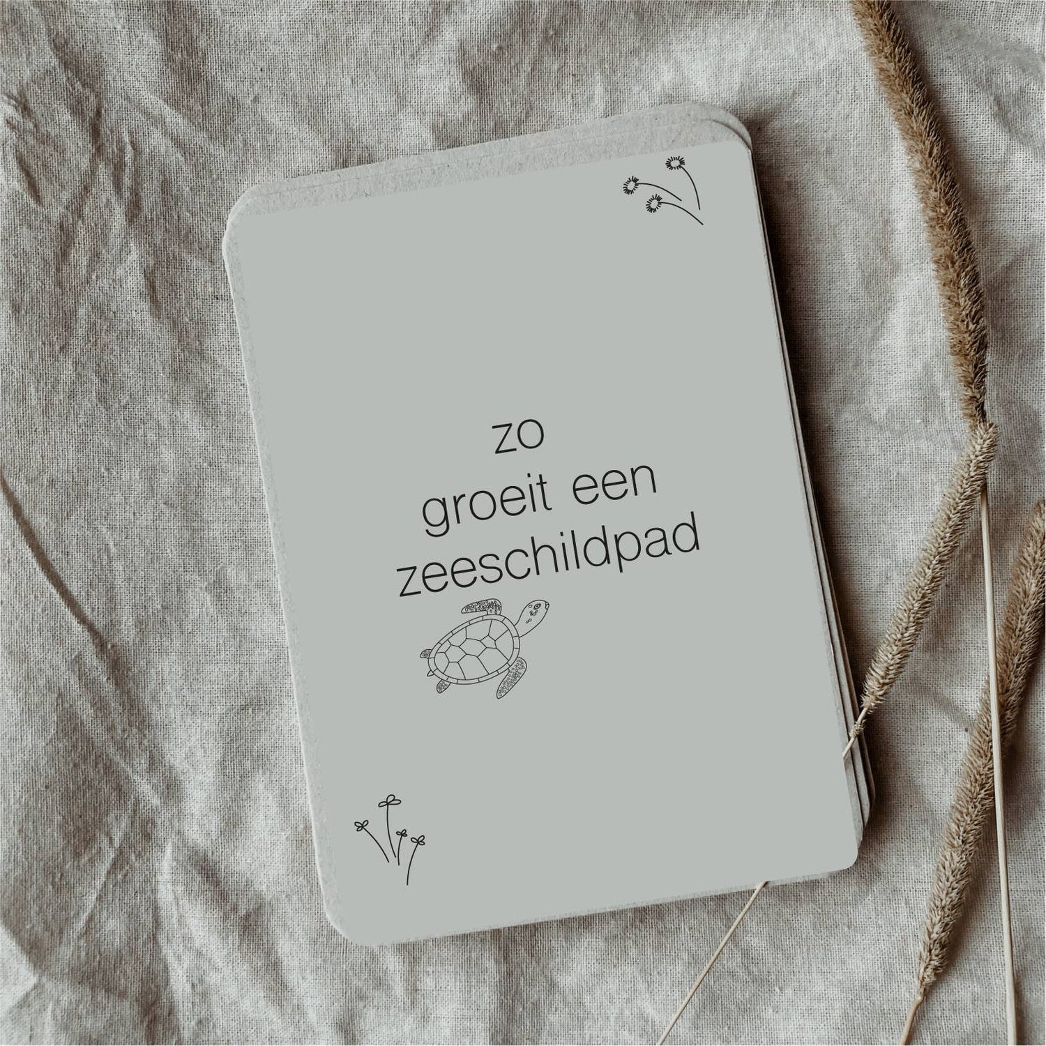 Lifecycle flashcards zeeschildpad - Educatief speelgoed