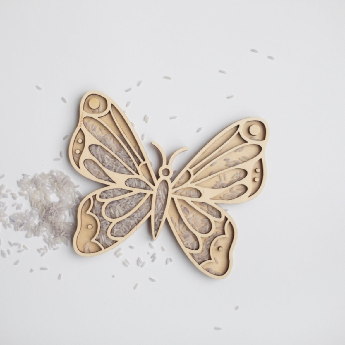 Vulvorm groot - Vlinder