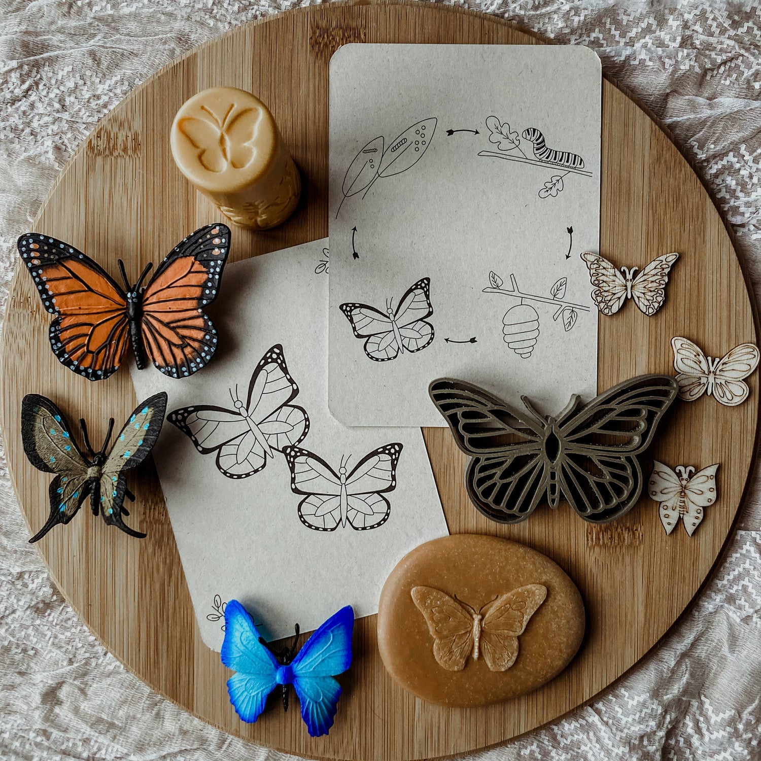 Lifecycle flashcards vlinder - Educatief speelgoed