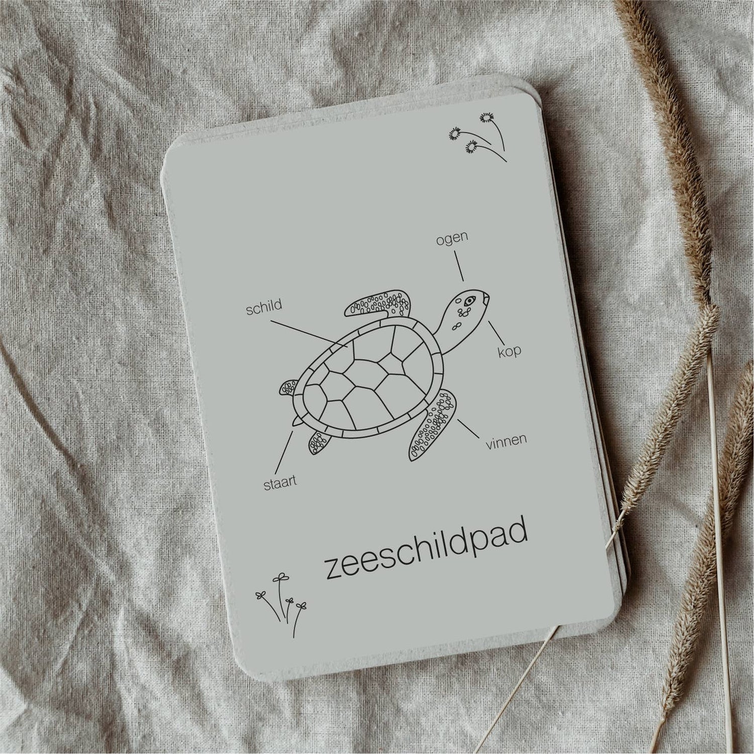 Lifecycle flashcards zeeschildpad - Educatief speelgoed
