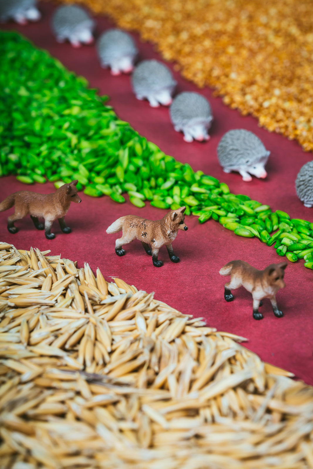 Sensorische fles – Bos (zoek fles)