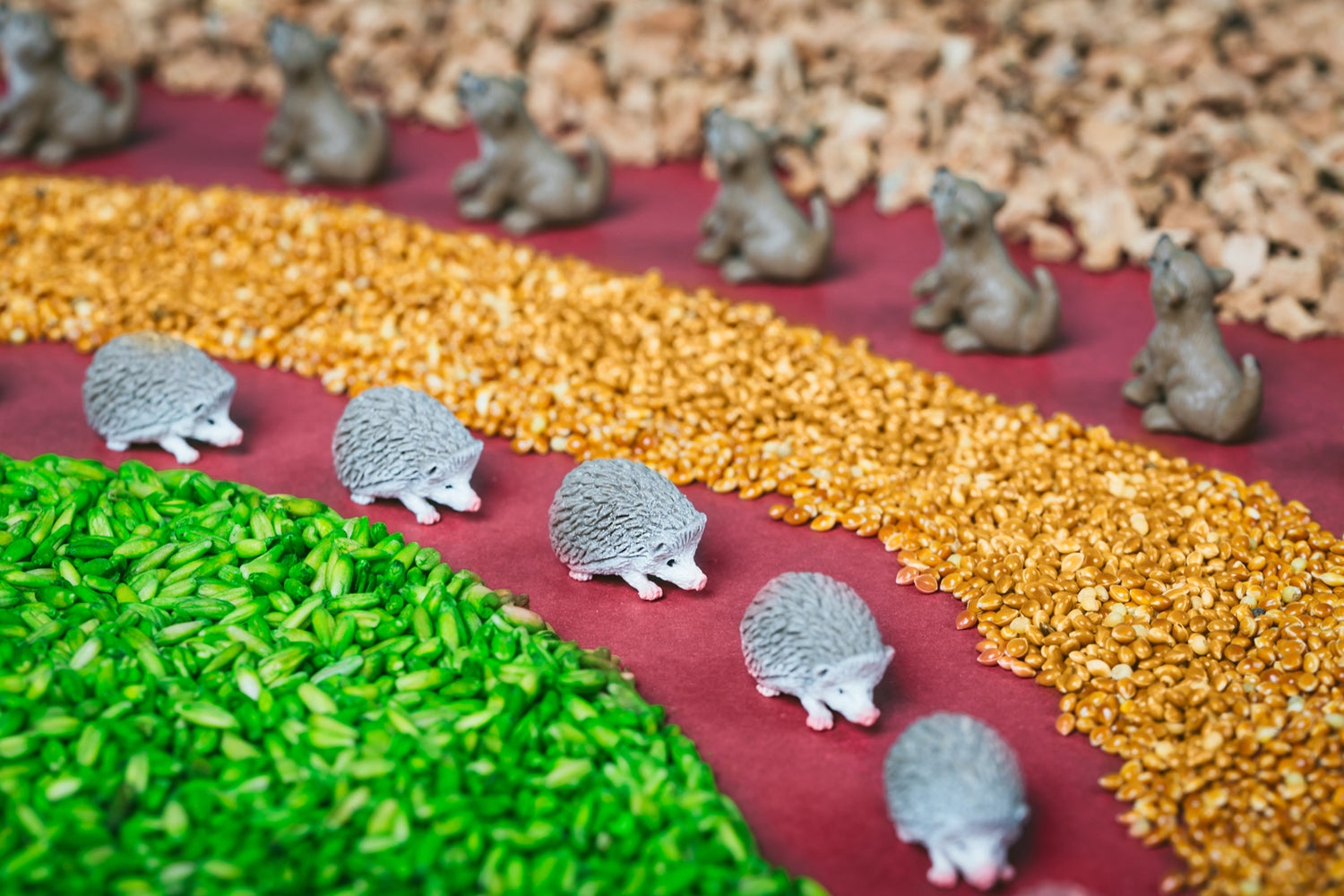 Sensorische fles – Bos (zoek fles)