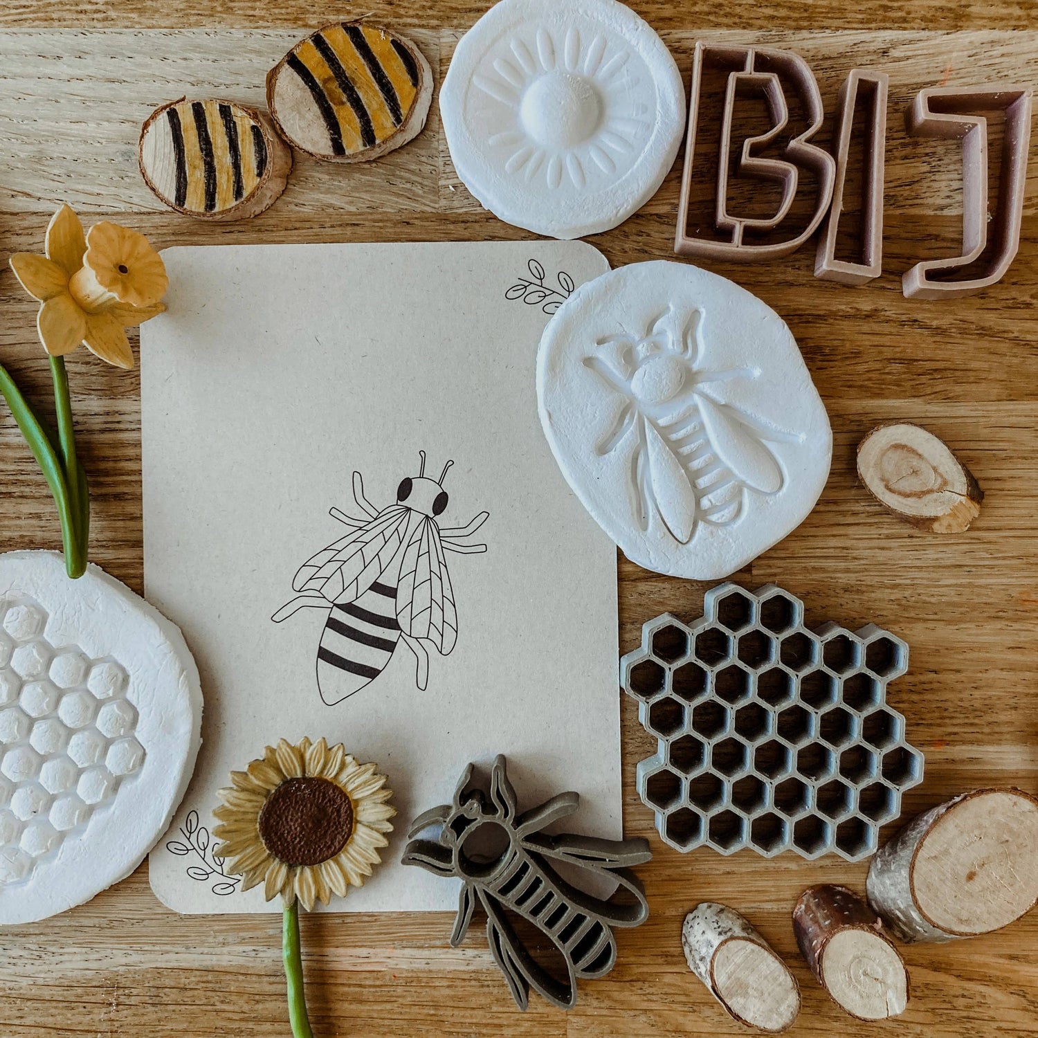 Lifecycle flashcards (bij, lieveheersbeestje, bloemen)-Educatie