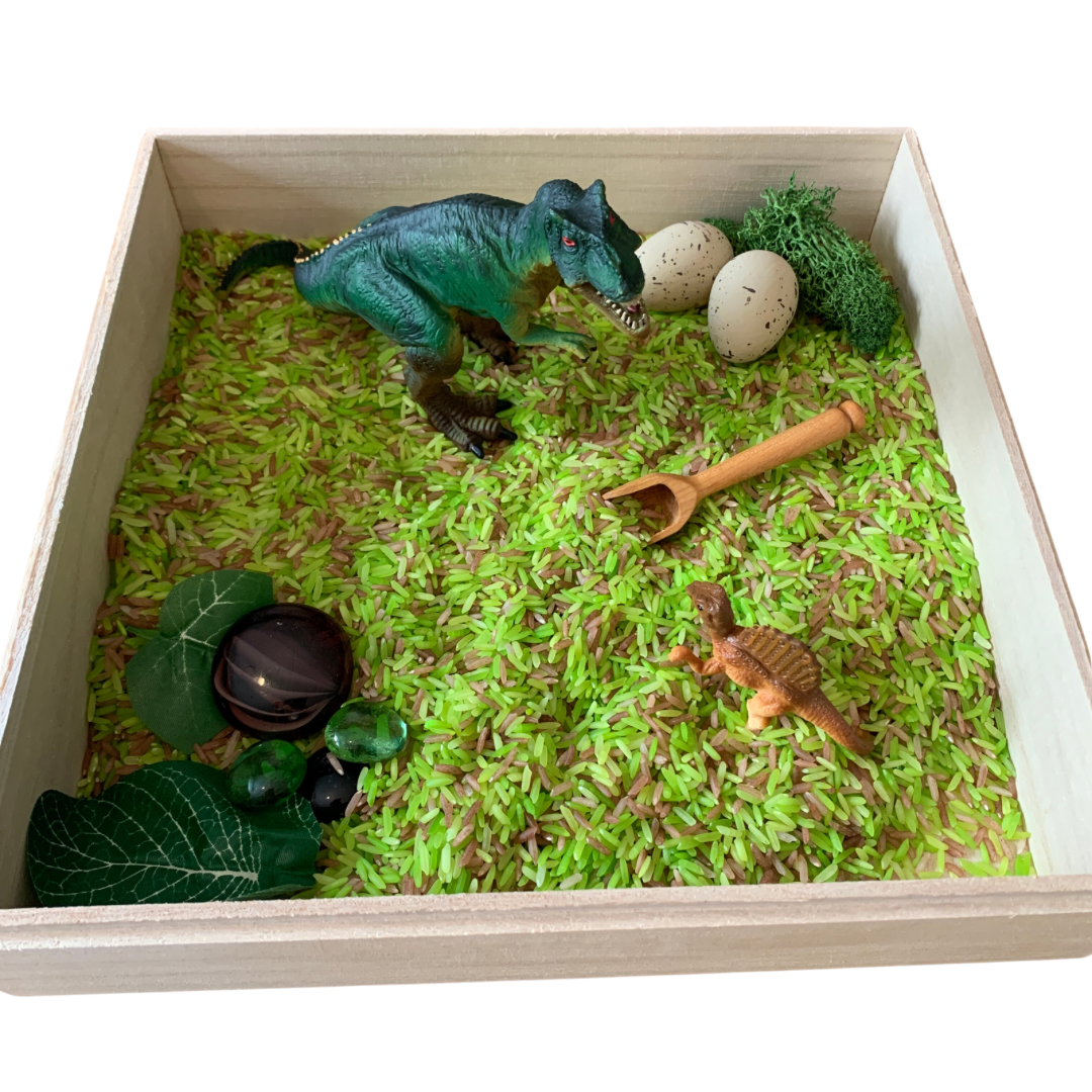 Sensorische mini Dinosaurus speelbox + Bak en deksel