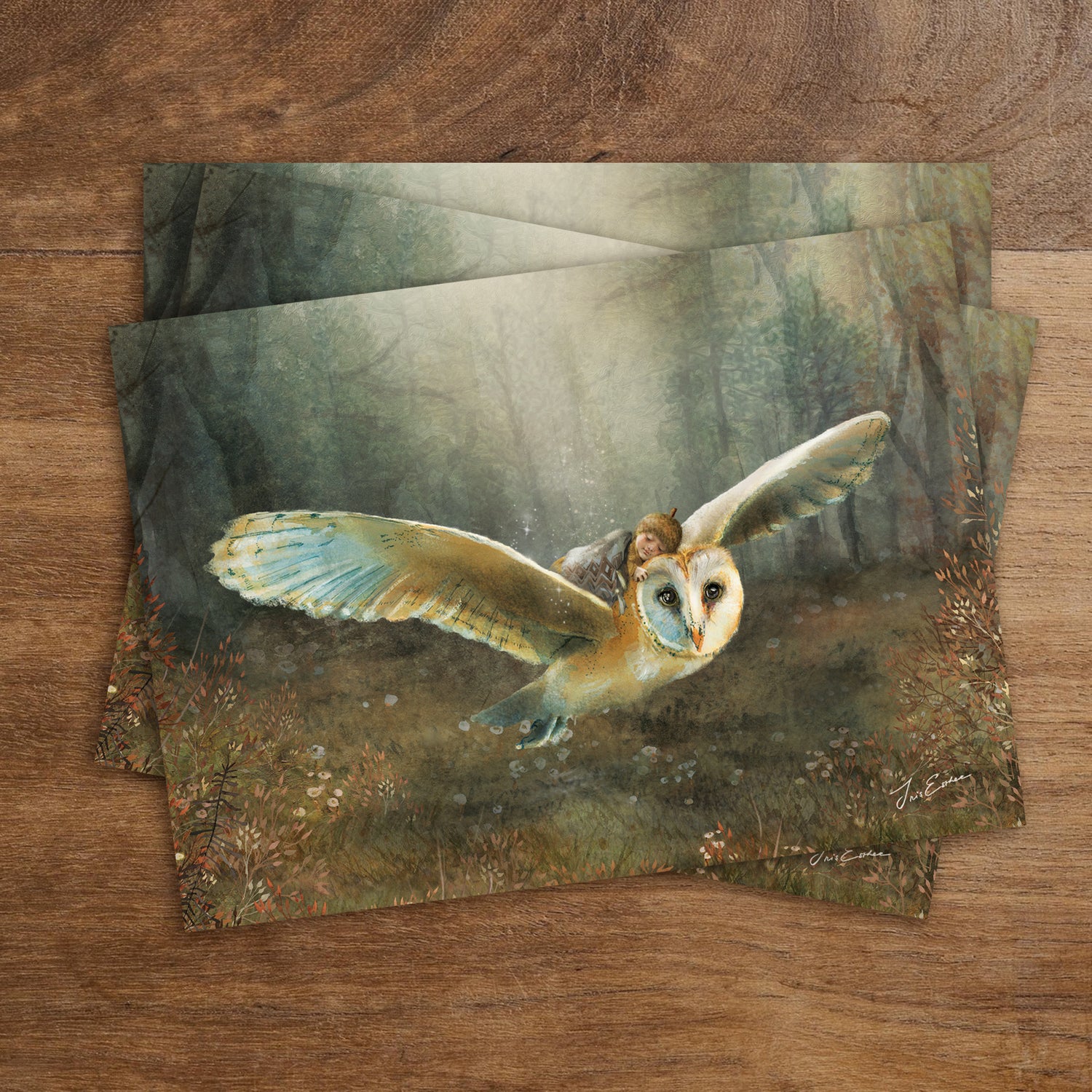 Dreamflight | Iris Esther - Ansichtkaart