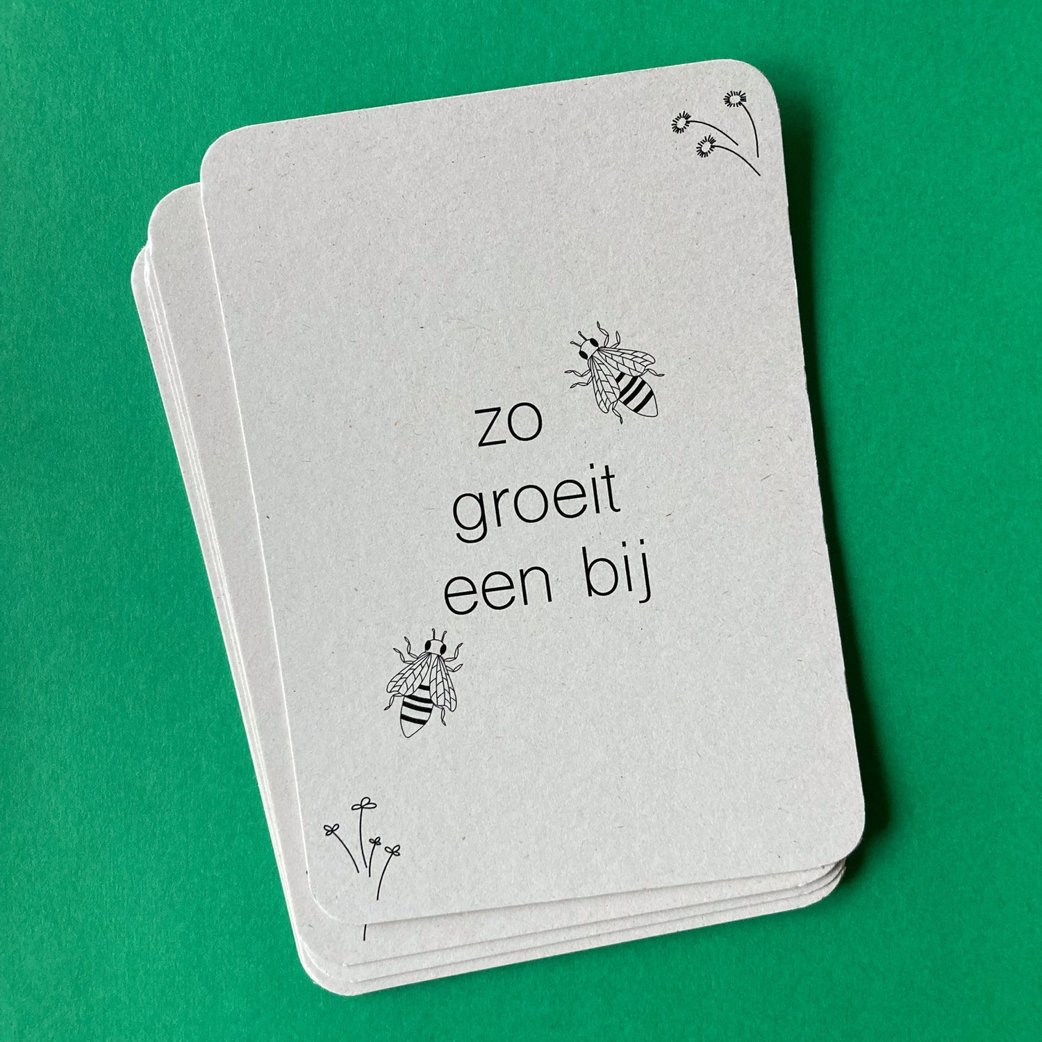 Lifecycle flashcards bij - Educatief speelgoed -levenscyclus