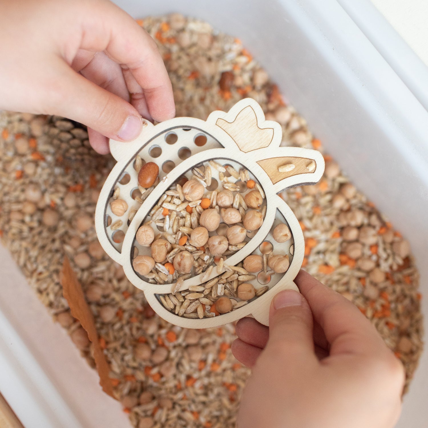 Houten zeefje - Pompoen