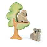 Koala's in boom - ostheimer