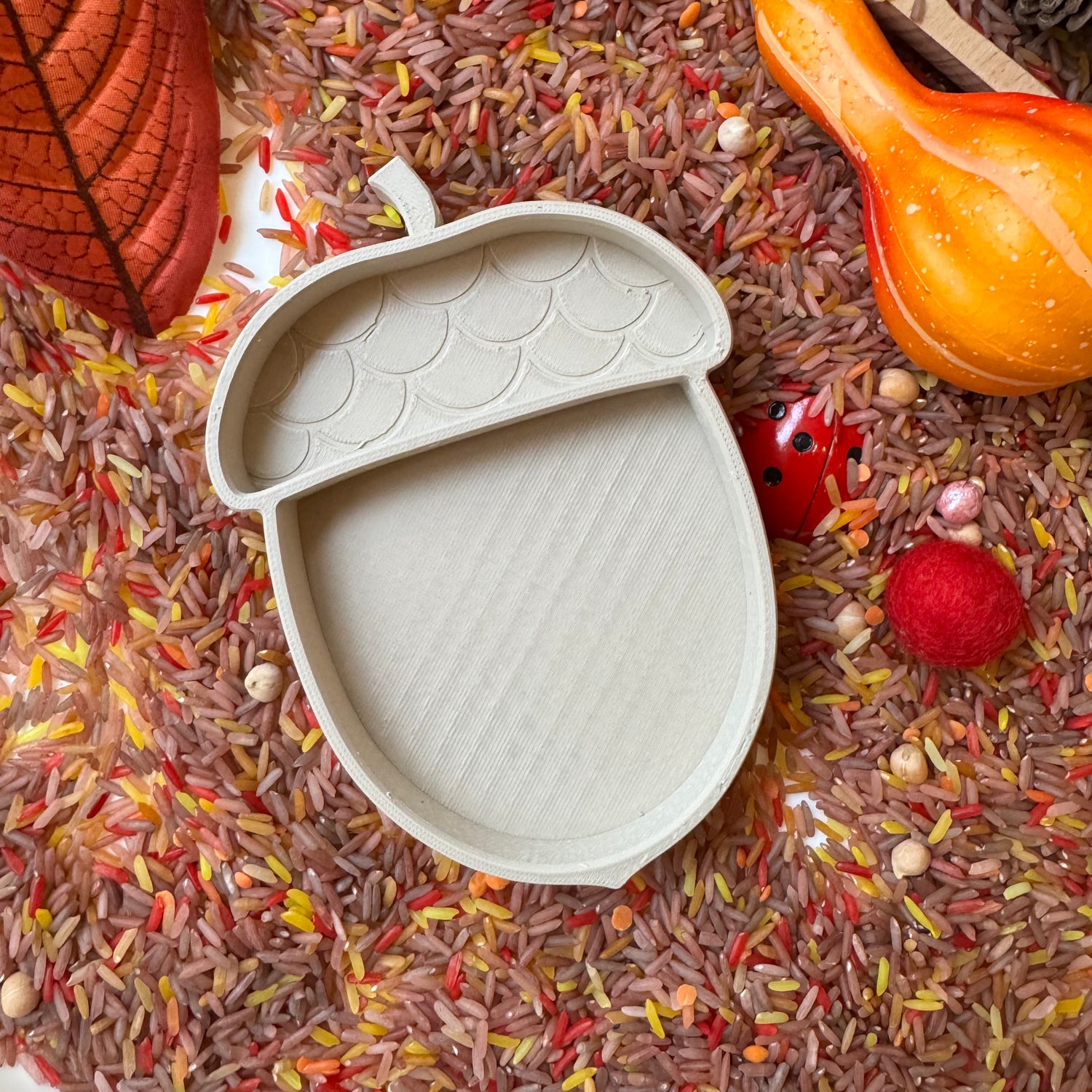 Eikeltje Vulvorm (14x10)