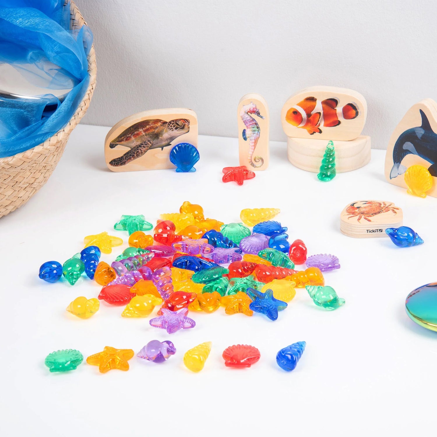 Doorschijnende Gekleurde Schelpen - 72 stuks