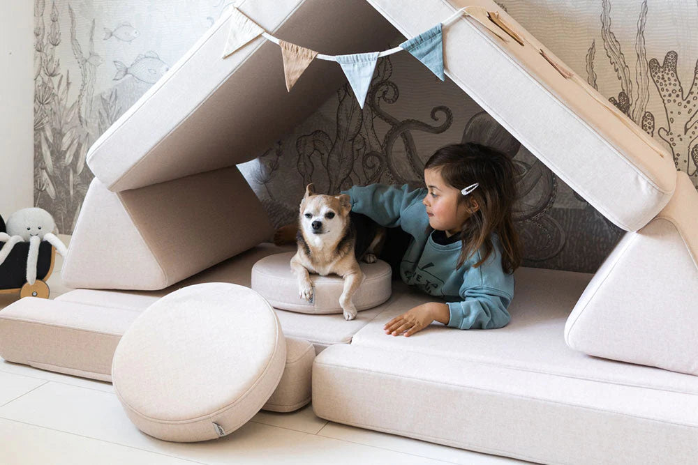 SHAPPY | SPEELBANK | ORIGINAL