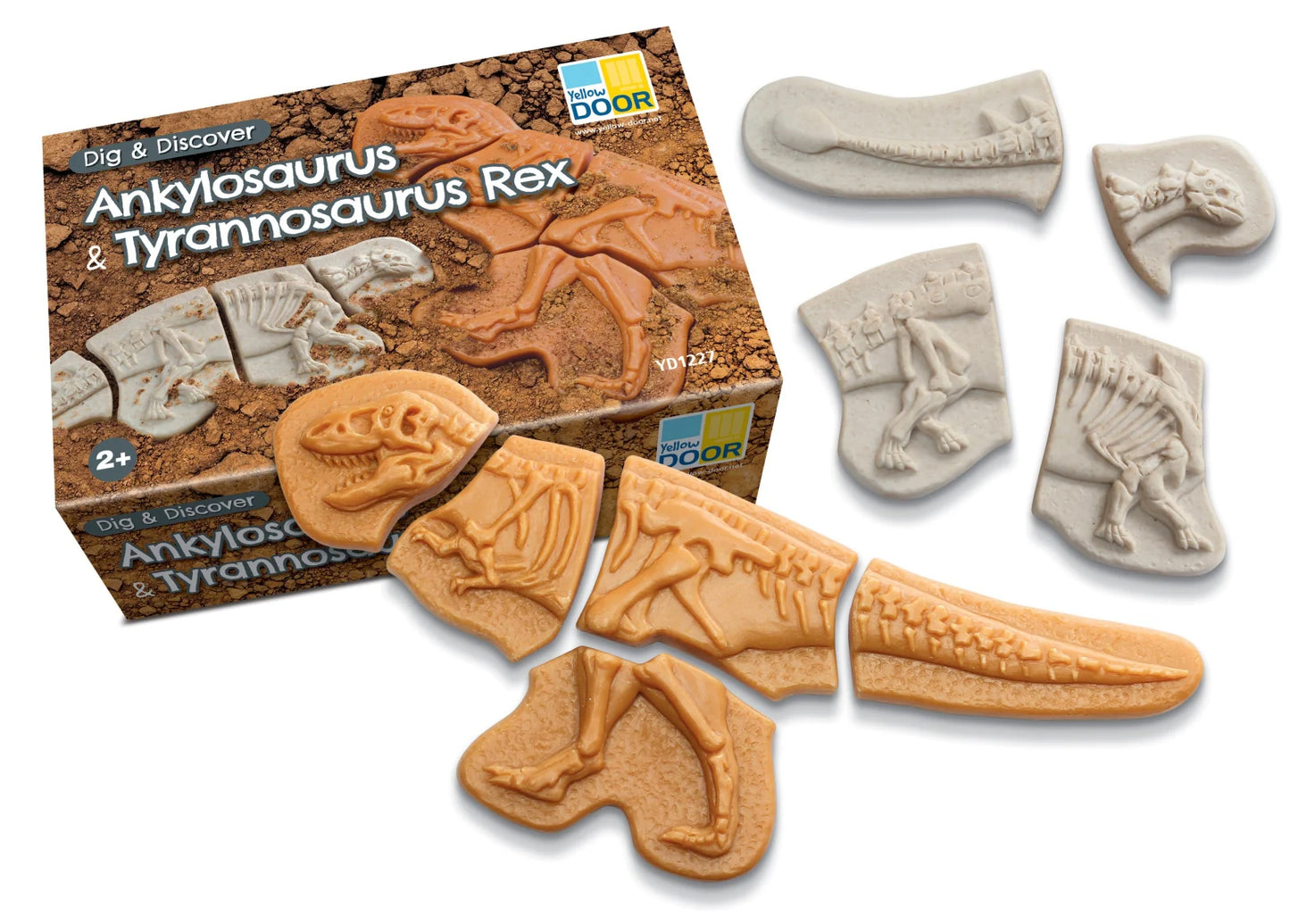 Dig & Discover | Ankylosaurus & Tyrannosaurus Rex