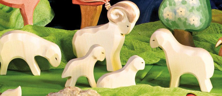 Ostheimer schaap - staand